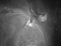 Orion Nebula