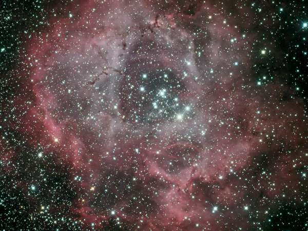 Rosette nebula